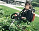 Husqvarna 536LiHD60X 